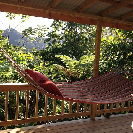 Roots Jungle Retreat Villa Marigot ภายนอก รูปภาพ