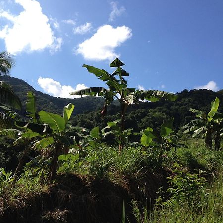 Roots Jungle Retreat Villa Marigot ภายนอก รูปภาพ