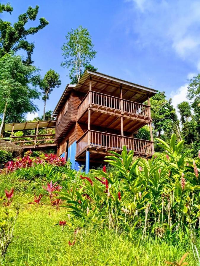 Roots Jungle Retreat Villa Marigot ภายนอก รูปภาพ