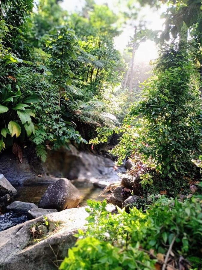 Roots Jungle Retreat Villa Marigot ภายนอก รูปภาพ