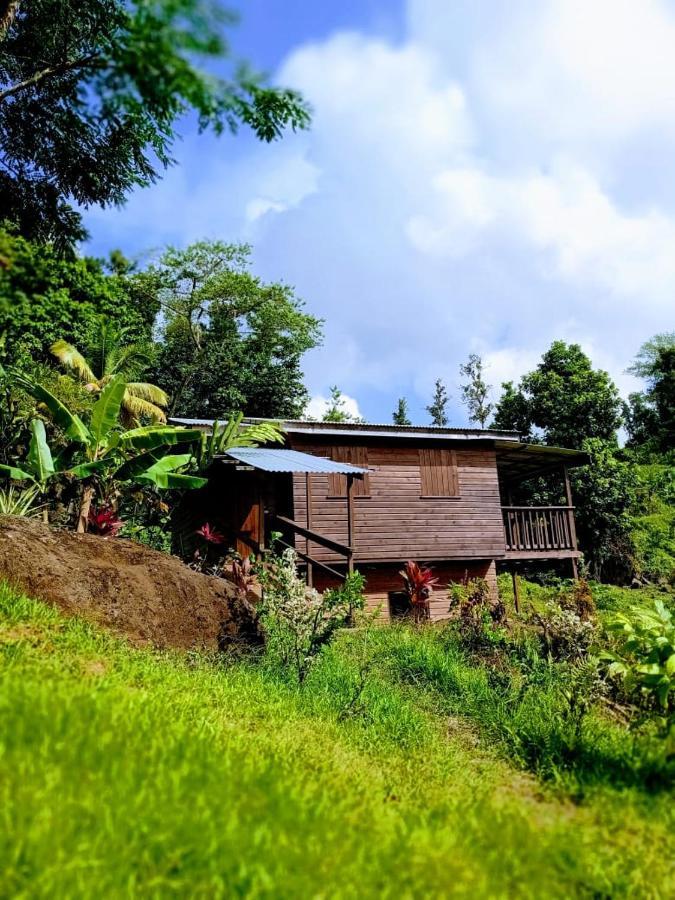 Roots Jungle Retreat Villa Marigot ภายนอก รูปภาพ