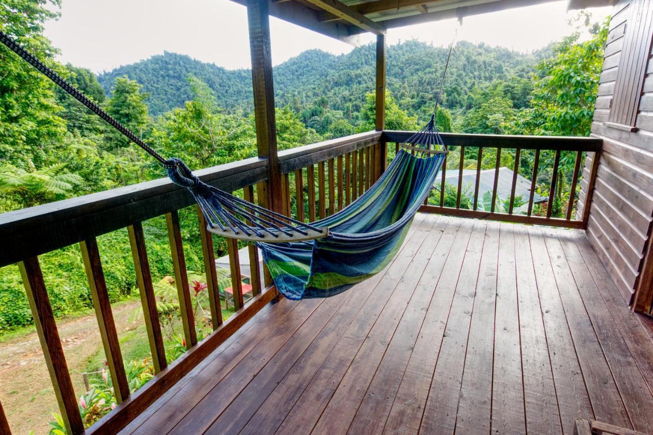 Roots Jungle Retreat Villa Marigot ภายนอก รูปภาพ