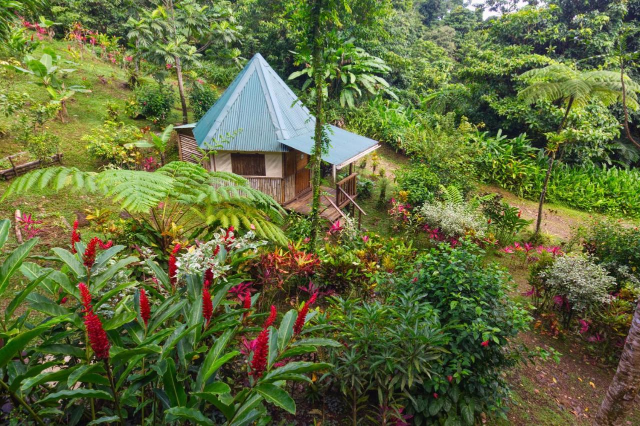 Roots Jungle Retreat Villa Marigot ภายนอก รูปภาพ