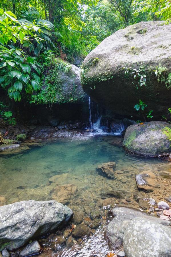 Roots Jungle Retreat Villa Marigot ภายนอก รูปภาพ