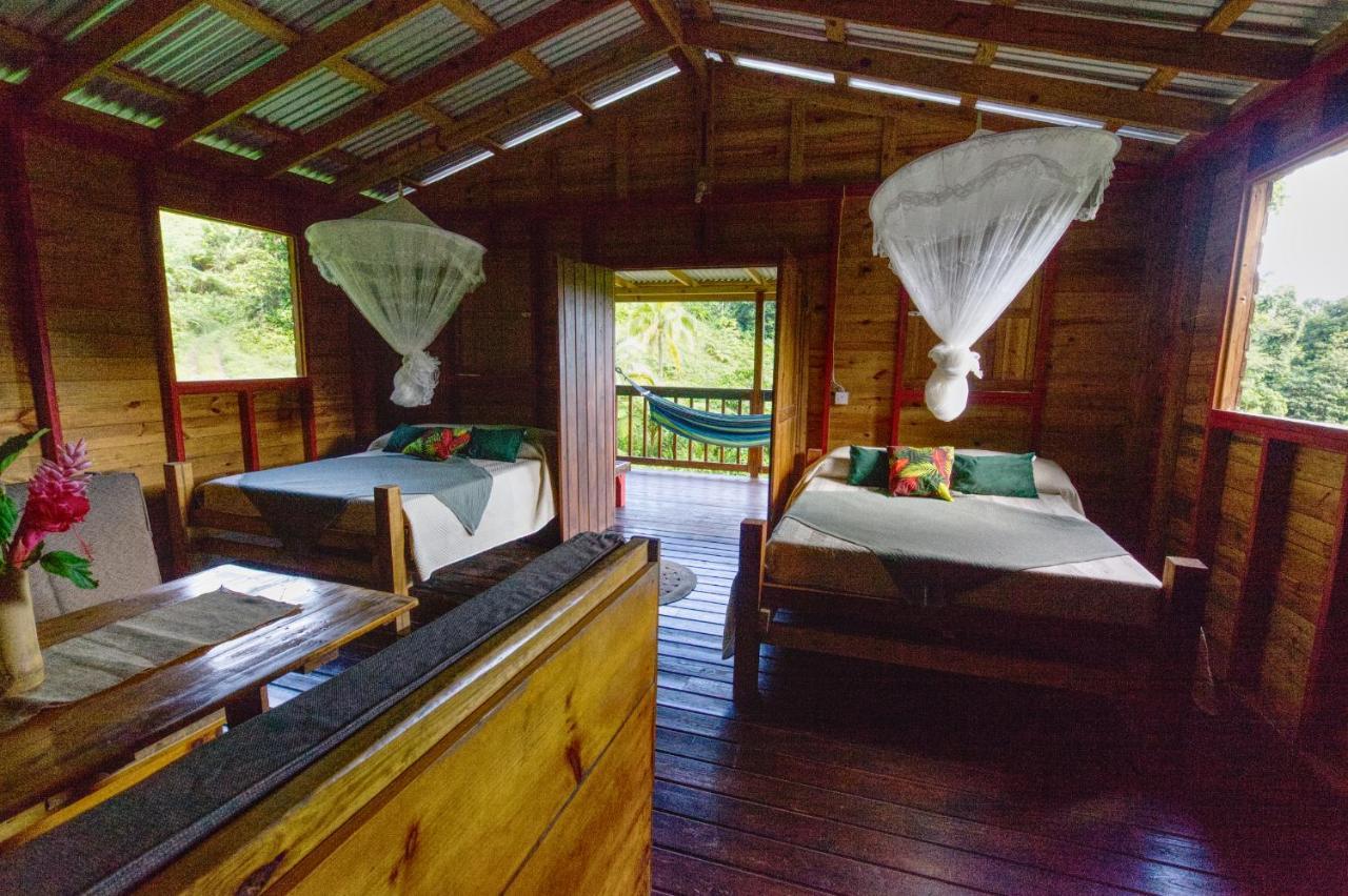Roots Jungle Retreat Villa Marigot ภายนอก รูปภาพ