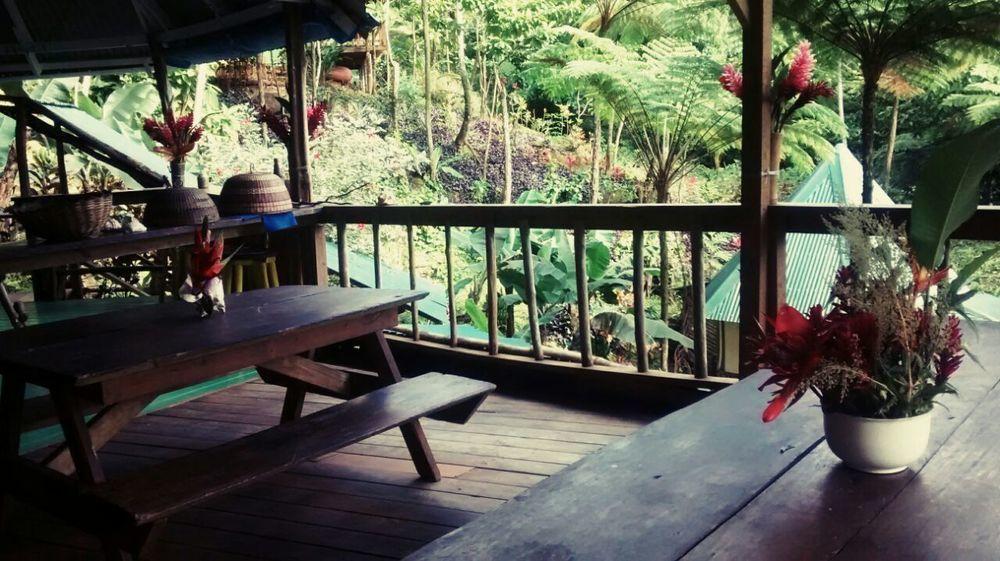 Roots Jungle Retreat Villa Marigot ภายนอก รูปภาพ