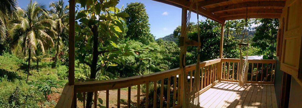 Roots Jungle Retreat Villa Marigot ภายนอก รูปภาพ