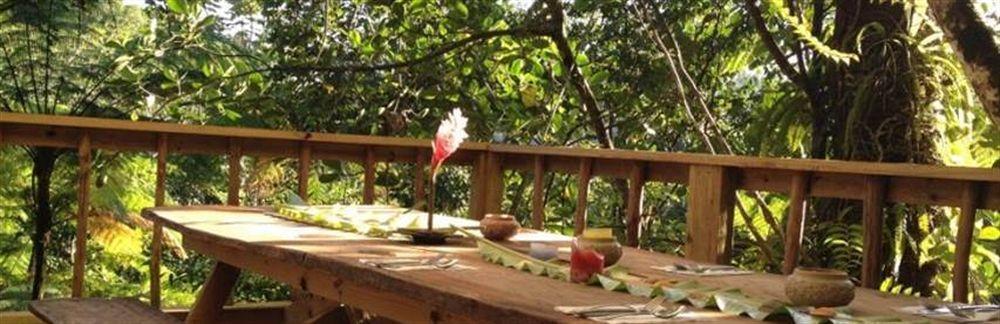 Roots Jungle Retreat Villa Marigot ภายนอก รูปภาพ