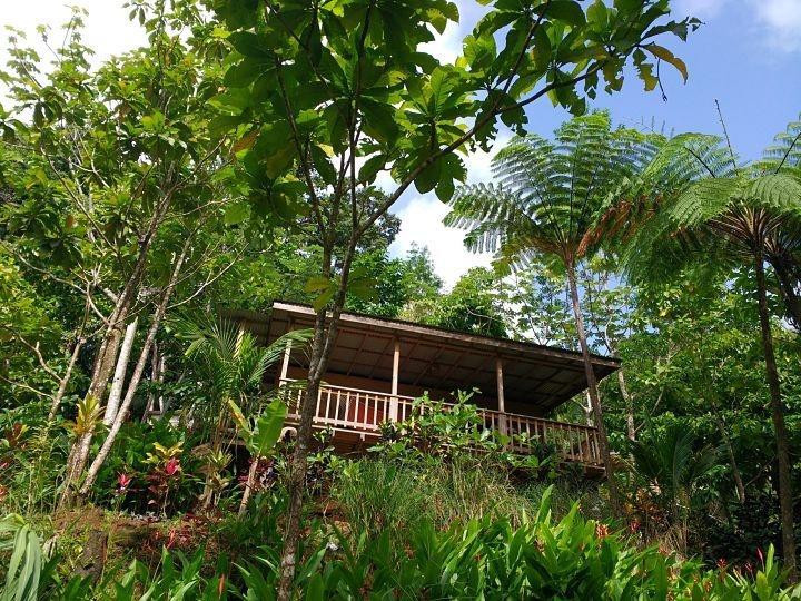 Roots Jungle Retreat Villa Marigot ภายนอก รูปภาพ