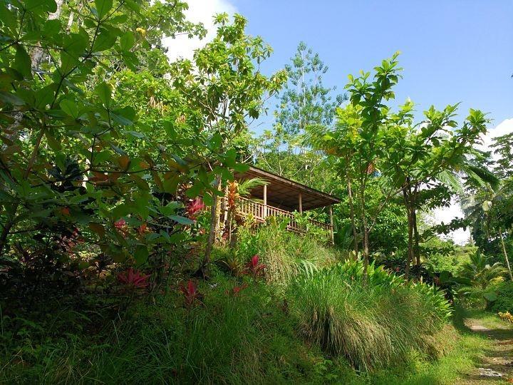 Roots Jungle Retreat Villa Marigot ภายนอก รูปภาพ