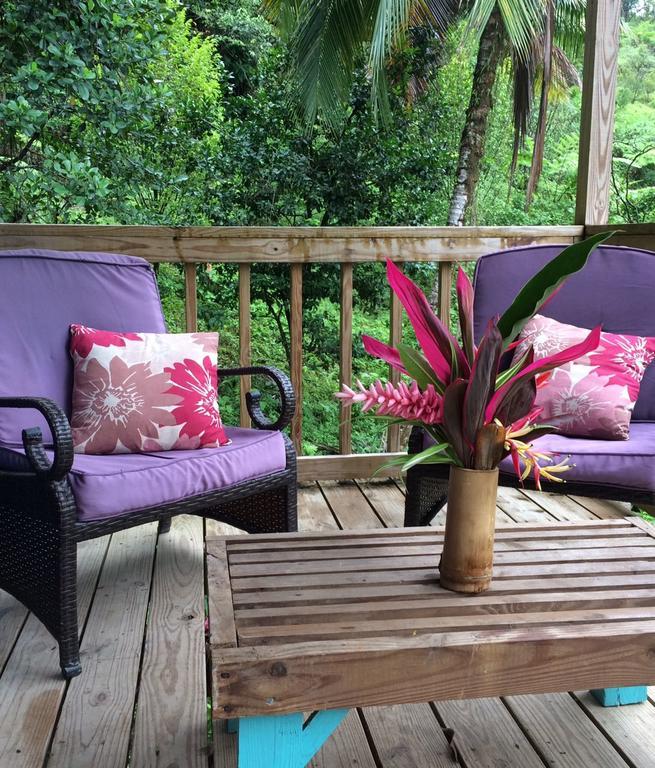 Roots Jungle Retreat Villa Marigot ภายนอก รูปภาพ