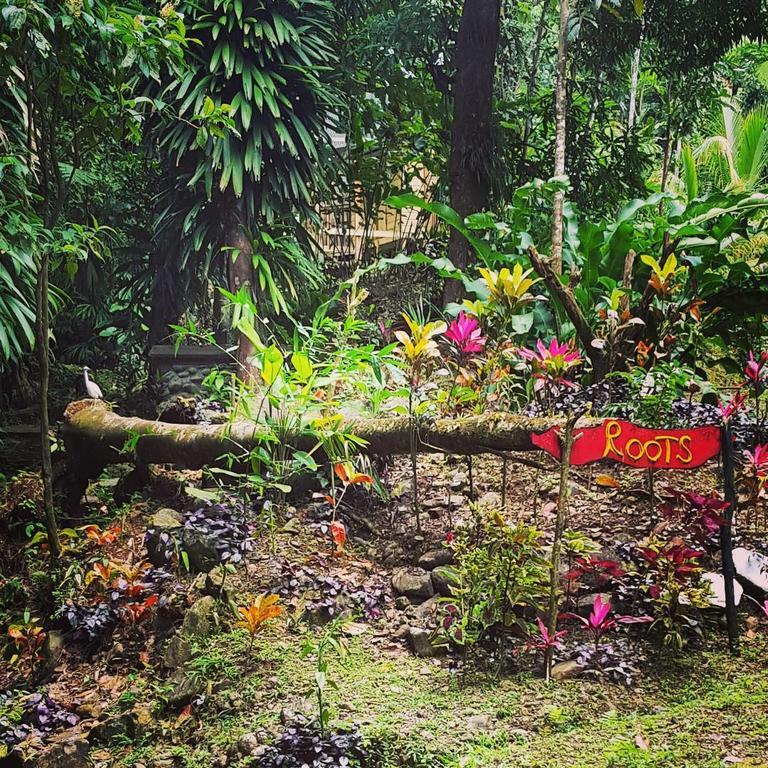 Roots Jungle Retreat Villa Marigot ภายนอก รูปภาพ