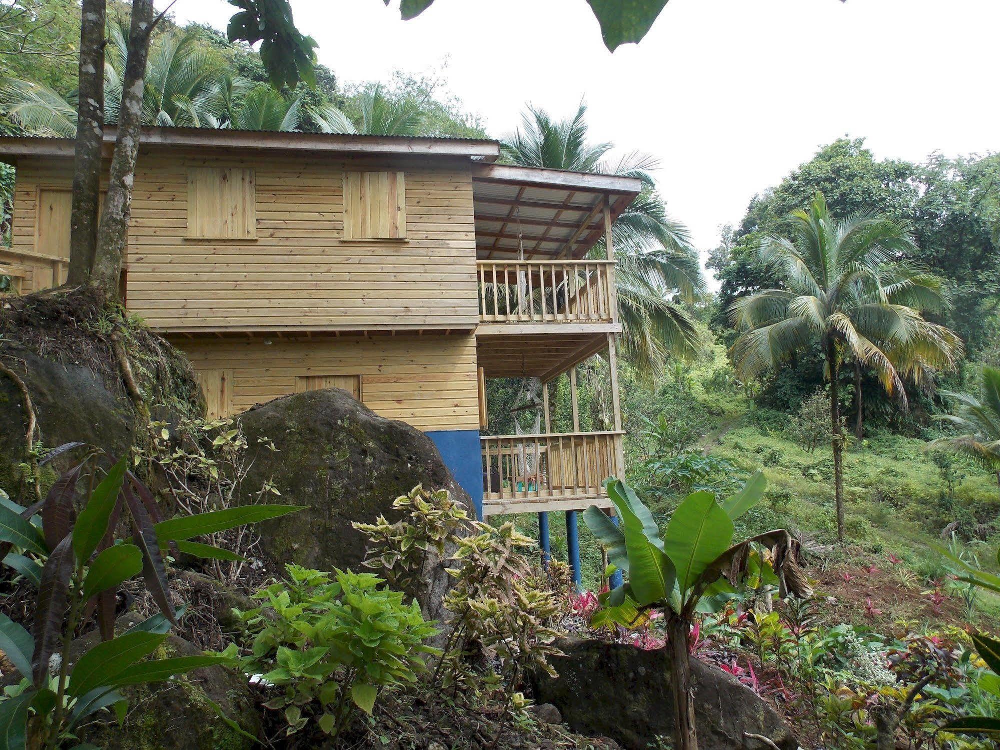 Roots Jungle Retreat Villa Marigot ภายนอก รูปภาพ