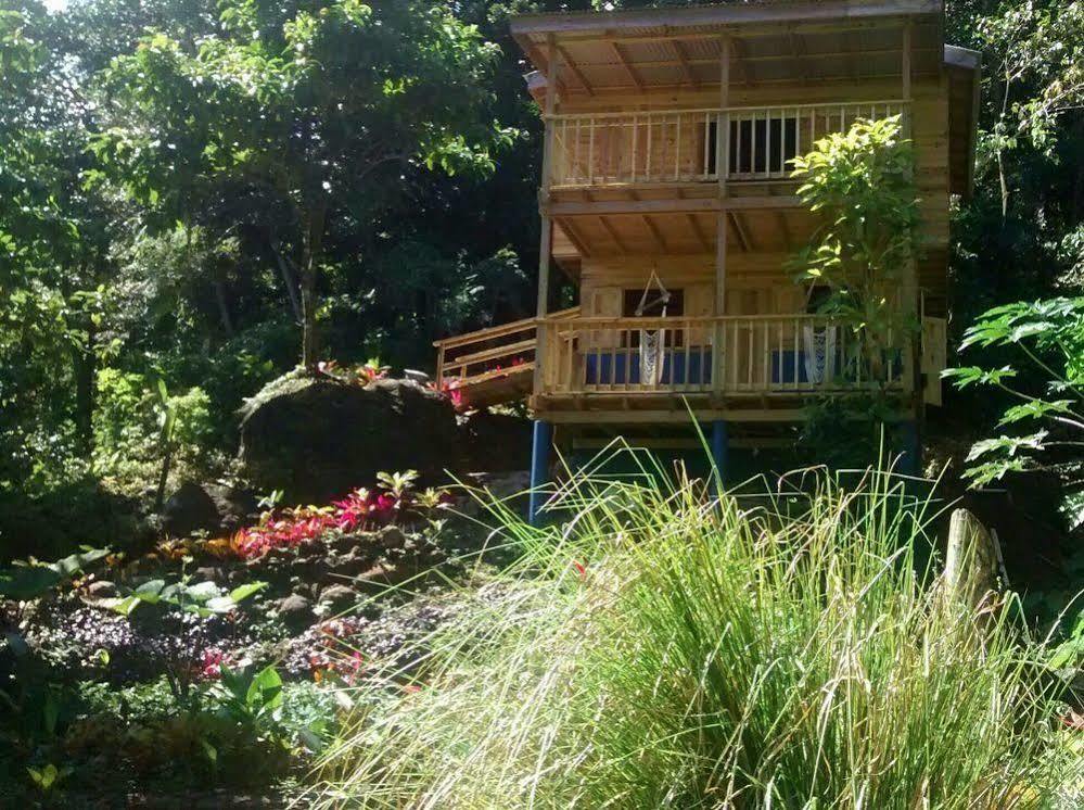 Roots Jungle Retreat Villa Marigot ภายนอก รูปภาพ
